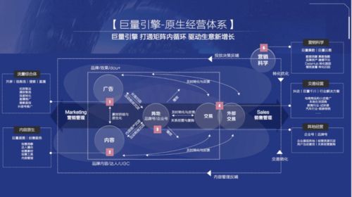 抖音电商将淘汰一批cmo,品牌会走向严重两极分化